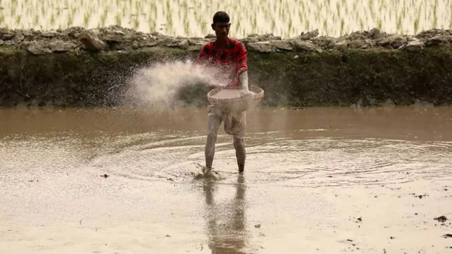 Fertilizer shortages deepen as Bangladesh prepares new dealer system