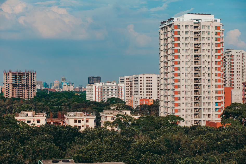 Dhaka’s Green Cover Shrinks as Urbanisation Puts Trees Under Pressure
